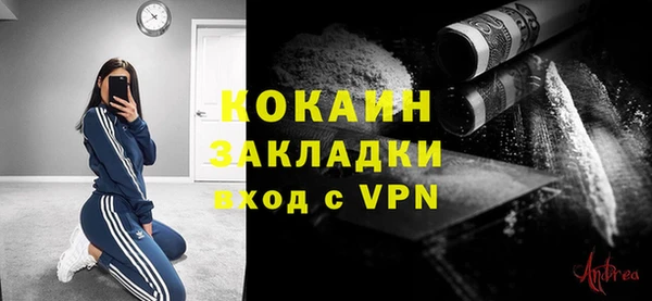 прущие грибы Армянск