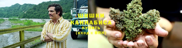 молекула духа Аркадак