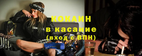 прущие грибы Армянск