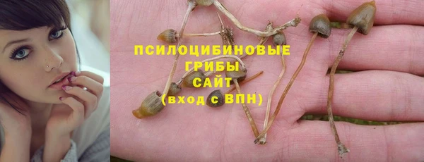 прущие грибы Армянск
