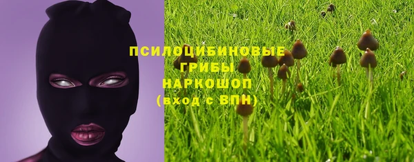 ешки Снежногорск