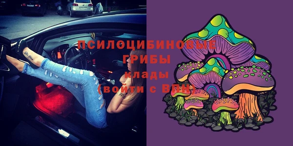 прущие грибы Армянск