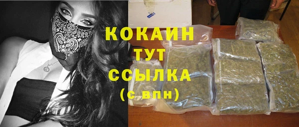 прущие грибы Армянск