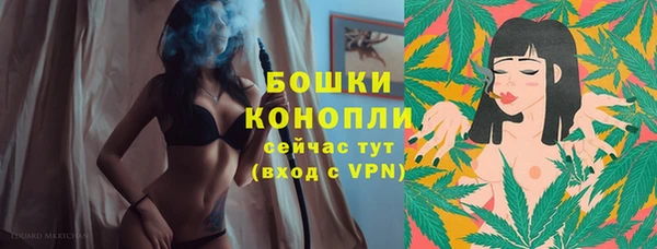 молекула духа Аркадак